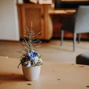 Hotel Alpe Dornach